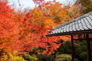 重要書類を伴う大規模事務所移転事例：N寺院様